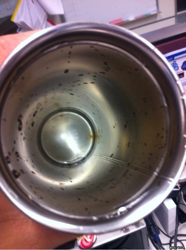 19种保温杯遭央视曝光!重金属超标热水进“毒水”出,家长需谨慎