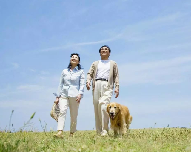 铠甲护士|60岁的老人，每天散步多久最好？建议不要超过这个范围