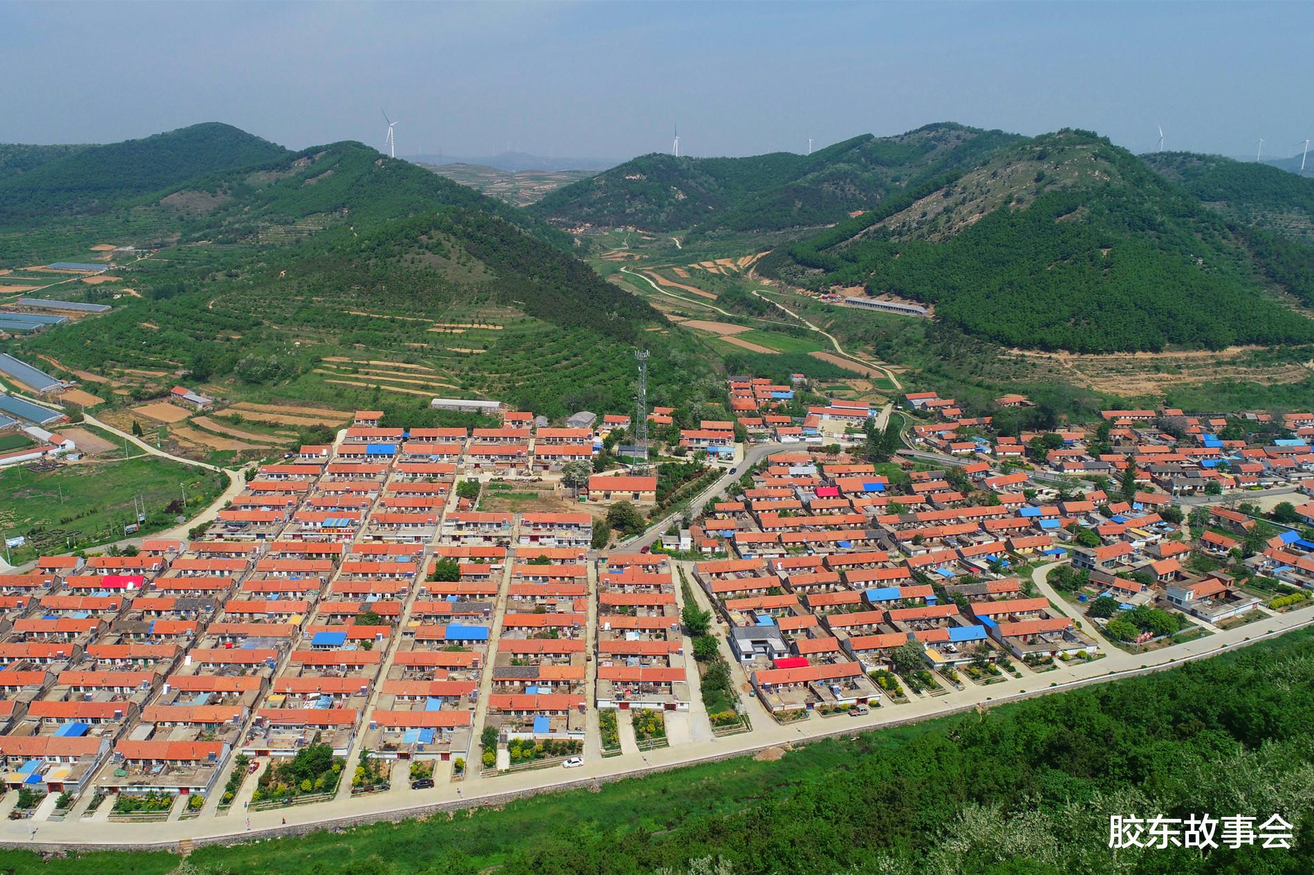 胶东故事会 海阳二十里店镇邵伯村的航拍风光，以流苏树和猕猴桃而闻名