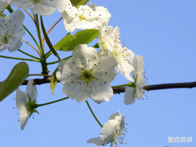 墨白情感|“表面友谊，毫无意义“：人到中年才知道，以下这几类人并非是人脉