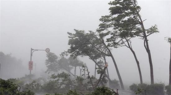 暴雨|河南暴雨后上万房屋倒塌，高层住宅缺点暴露，哪些房子不建议买？