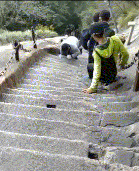 风云视角|搞笑GIF: 终究是我错付了，四个人的游戏，结果却是三个人的狂欢