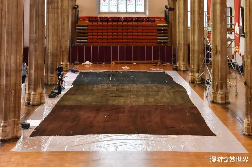 漫游奇妙世界|不比不知道，一只蝌蚪居然能长这么大