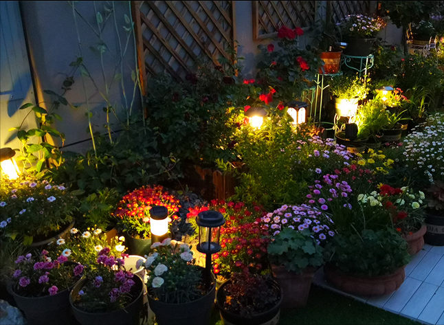 4年前,毫不犹豫买了这个带60㎡露台的房子,开始DIY改造小花园