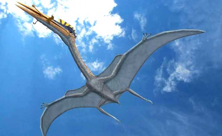 爬行动物 翼龙再生了?这种蜥蜴正在进化翅膀,已经可以在树林间滑翔