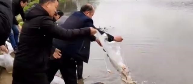 足迹写乎 20斤鱼赔了5000条，湖南武冈4男子摊上事了，网友：以后就这样办