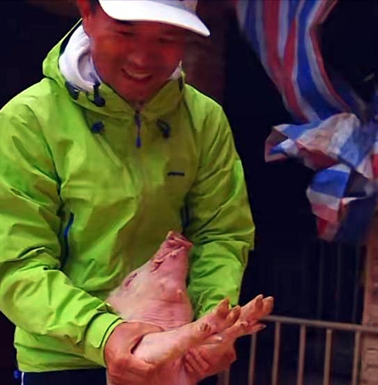 广东省|钓王邓刚在广东盘黑坑，塘主瞧不起被打脸，不要鱼获抬回了一头猪