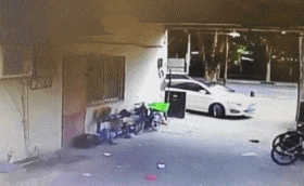 郑爽|“吴亦凡和郑爽打架，?打一成语？”网友：我快被网友笑死了！哈哈哈