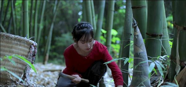 李子柒|坐拥1亿粉丝的李子柒，短视频停更2个月背后，真相终于浮出水面