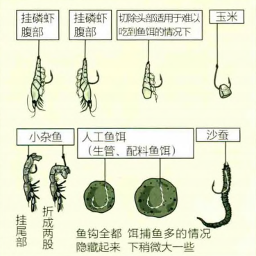饵料|【 日本专业矶钓书籍 】团子饵钓法，初学者最佳矶钓钓技