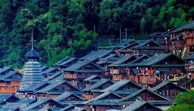 育儿心课堂|“换花草”有科学依据吗？贵州占里村的生育现象如何科学地解释？