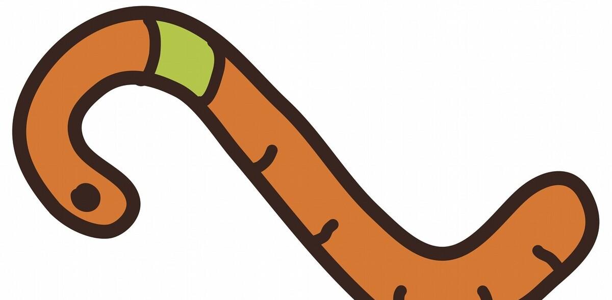 |天冷蚯蚓太难用？瞎说！只因用法不太对，怪不得斤鲫从不吃你的钩