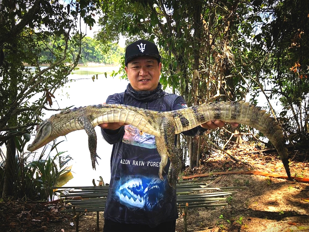 鳄鱼 鳄鱼之哀歌:一部2亿年的悲惨奋斗史,海陆双线进军,却惨败而归