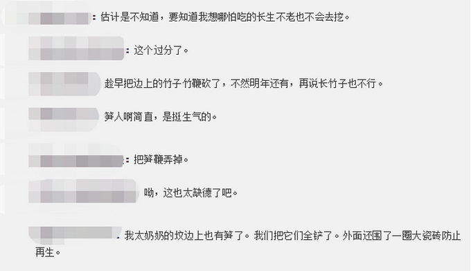 舜网 什么仇什么怨！清明假期挖笋人刷屏，一网友怒了：我家坟头都被挖了！
