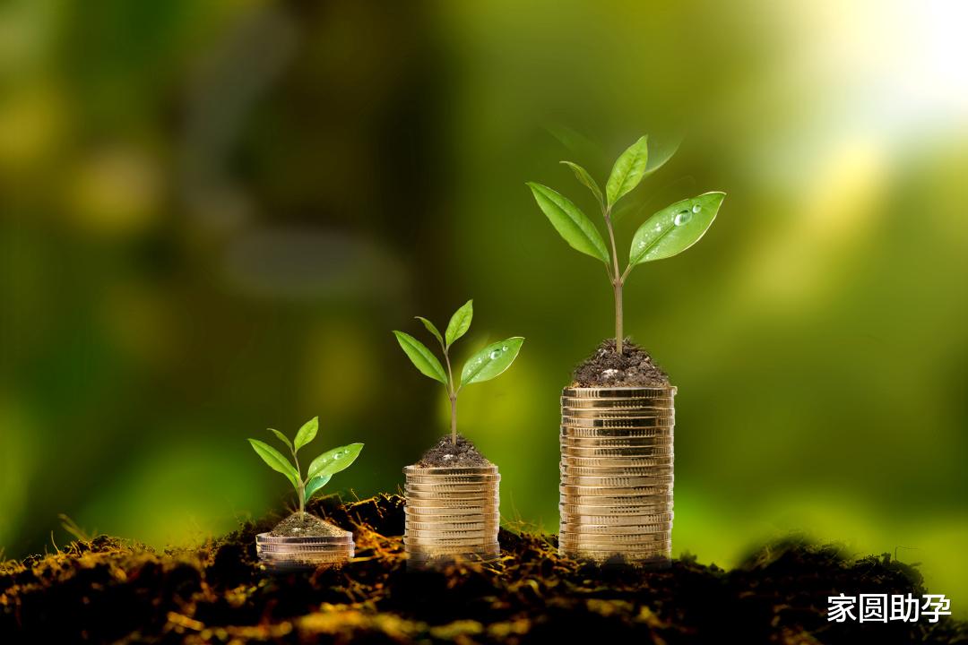 家圆助孕|学习使我妈快乐？明天开学，你教育焦虑了么？