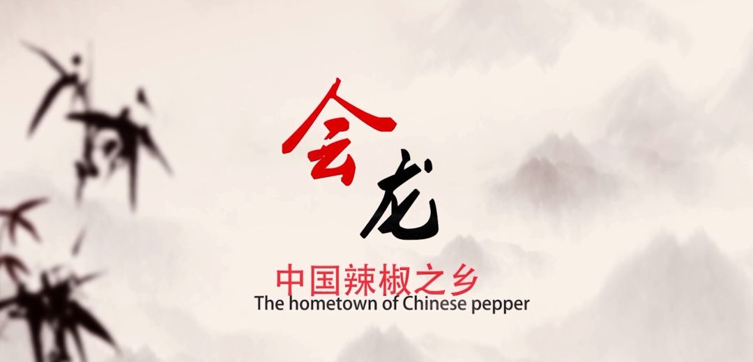 新安江淮 春游江淮请您来：阜南会龙镇——中国“辣椒之乡”