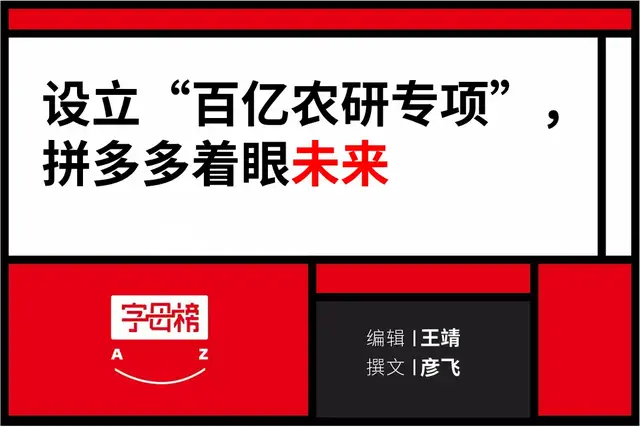 拼多多|拼多多走到了十字路口
