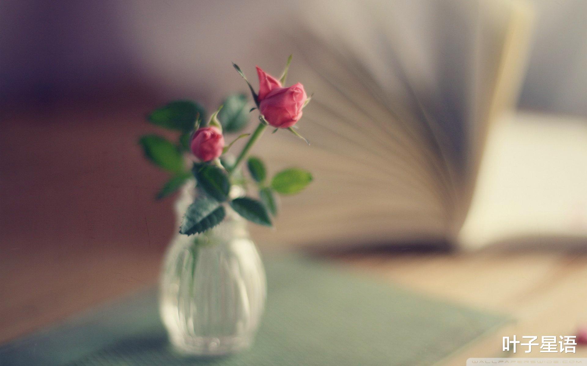 地下城与勇士|明明有能力，奈何太心急，这些星座“成也脾气，败也脾气”