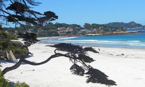 江疏影|90岁老帅锅克林特.伊斯特伍德975万美元豪宅，到底长什么样？