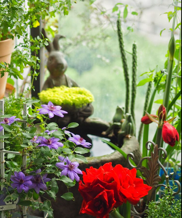 7㎡小阳台，改造成19楼的空中小花园，天天宅在家不想出门了