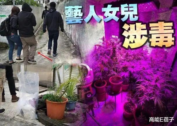 高能E蓓子 老牌港片笑星靠洗肾活命,两女儿却先后涉毒被捕