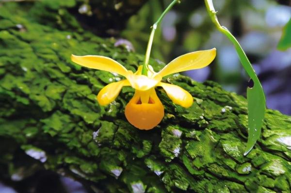 都市时报 天赐云南的宝贝！你认识几种↓↓↓