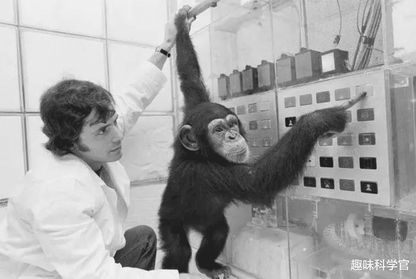 基因 疯狂的“人猿杂交”实验,曾有5名女性为科学献身,结果悲剧了!