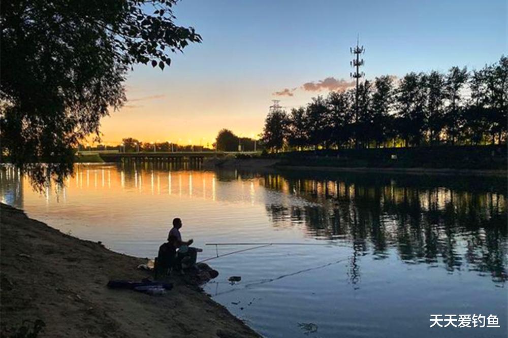 |夏季钓鱼，出钓时间的选择，不是大鱼少，是没赶上大鱼进食的时间