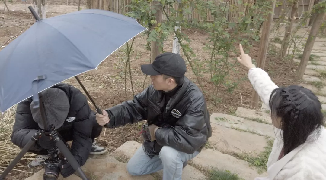 瞿颖|李子柒，俗人一个