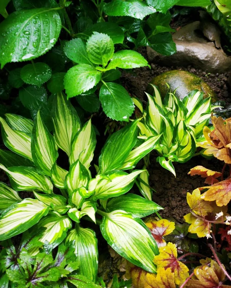 因为这个50㎡露台，买了这套房子，历时7年DIY打造成花园，太美了