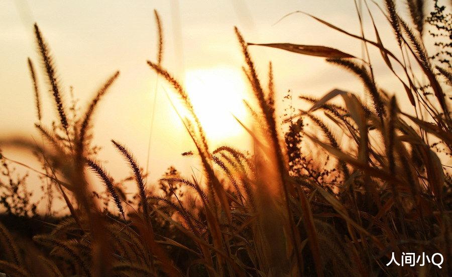 人间小Q|毕业存款10万,穷小伙从被人嘲笑到人人承认他的优秀,他凭什么?