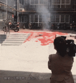 歪骆驼|“事实证明迎着阳光开车，离天堂最近，太危险了”