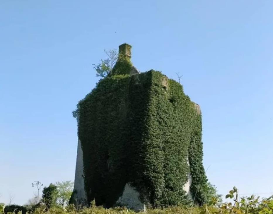  大自然的力量有多大？15张图看清，在自然面前，人类文明太渺小了