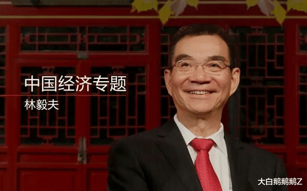 林毅夫|多家企业选择中国，林毅夫表示：离开中国也等同于放弃了中国市场