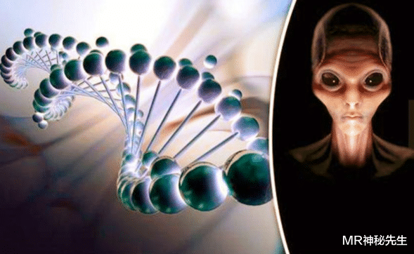 基因 人类大脑是外星人遗留的试验品3：若人类灭亡，谁会进化为新人类