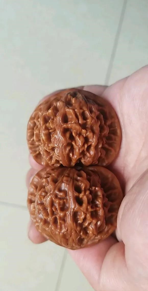 钱币|盘核桃不再需要3冬2夏了,这6种文玩核桃,上色包浆贼快!