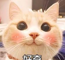 Netflix|2021年Netflix韩剧全球收看人数排行榜Top10！你看了多少部？