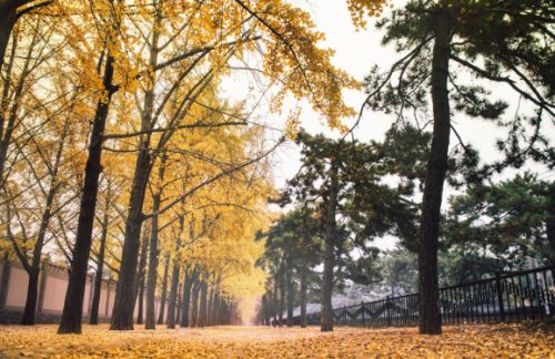 生存之道|掌握这几点让你轻松掌握职场生存之道。