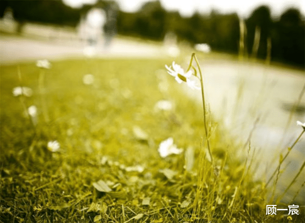 顾一宸|一个人是否成熟，就看他懂不懂得这3个道理