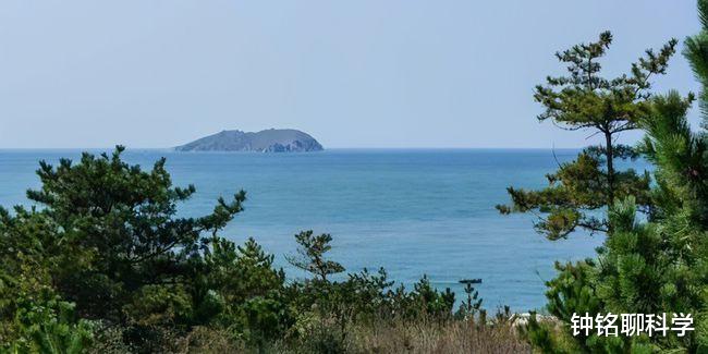 毒蛇|我国毒蛇最多的地方，0.73平方公里生活着20000条毒蛇，毒性极强