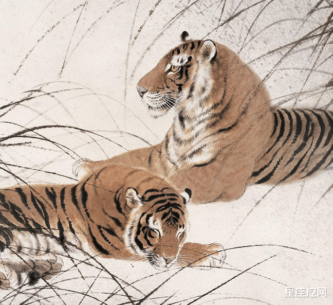 星座控网|最近小半年，遇见财运，抓住爱情，还有希望官升两级的4大生肖