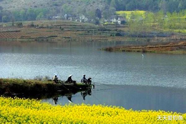 注意力|钓鱼技巧：钓鱼遇上刮风天，经验告诉你，这些风向鱼情更好