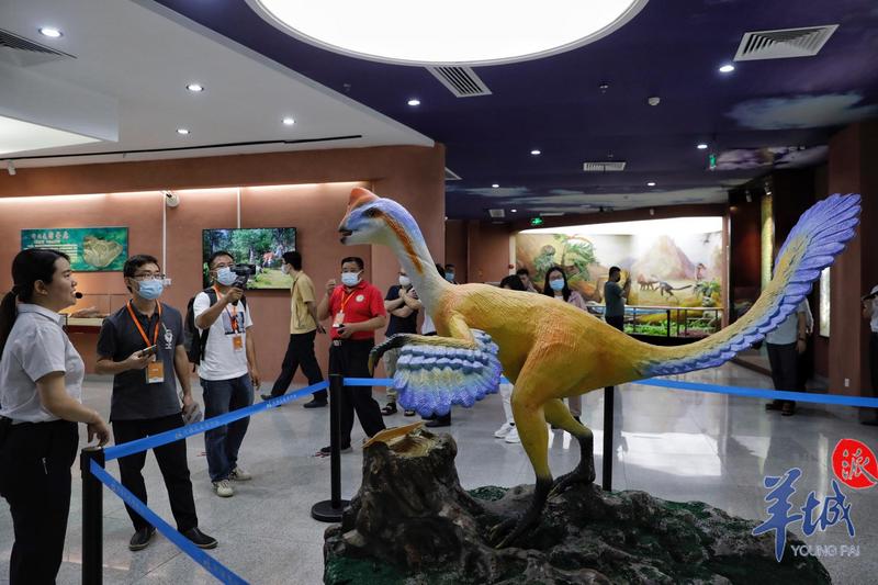 羊城派 高速路加持，河源恐龙IP成湾区热点   沿着高速看中国（广东）