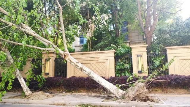 领域说篮球 江苏南通大风致11人不幸离世,幸存者:如果再晚一点到家后果不堪设想