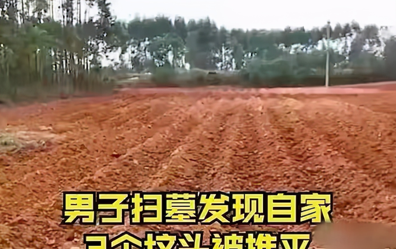 社会热点传播正能量 广西男子扫墓，发现自己3个坟头变为平地，墓地变成了甘蔗地