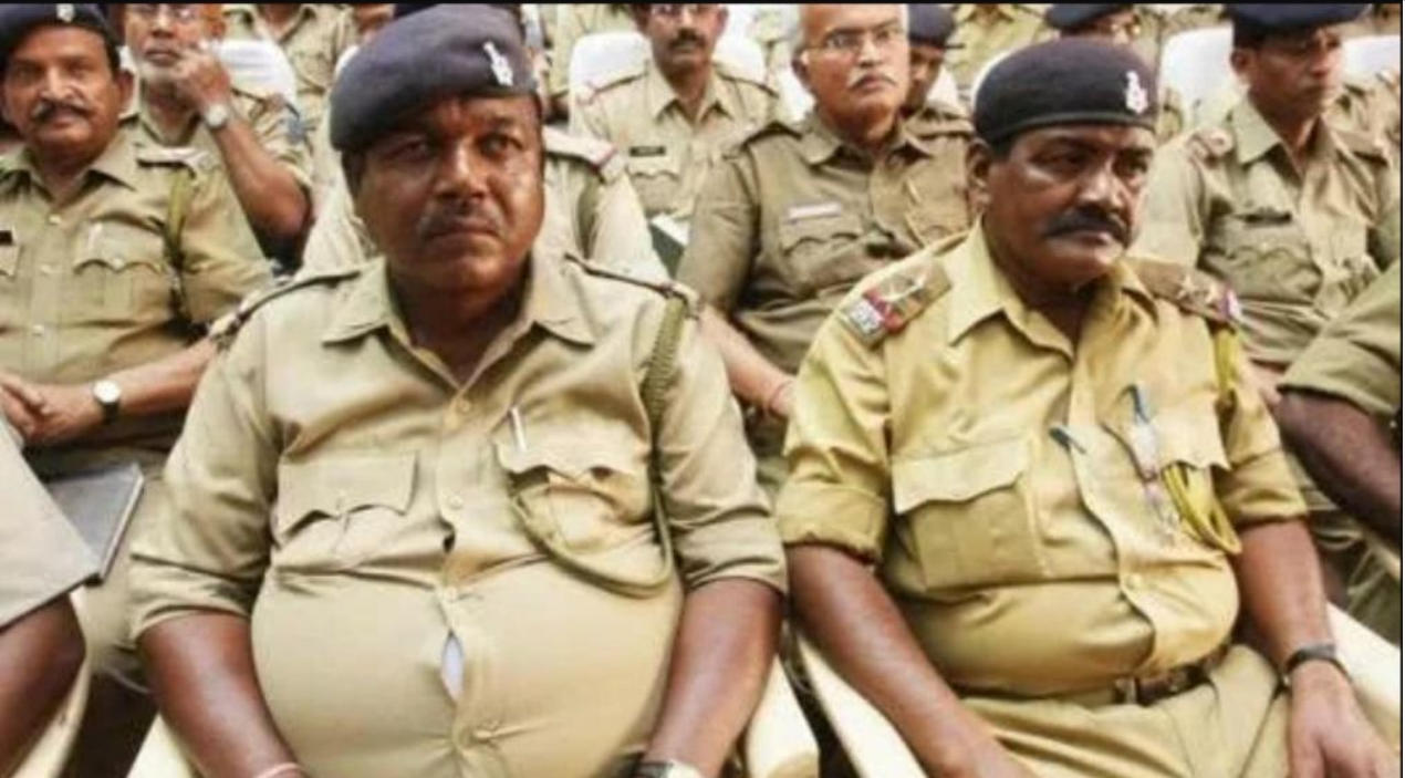 印度軍隊的夥食出瞭名的差，可是為什麼有那麼多胖子？原因有3點-圖4