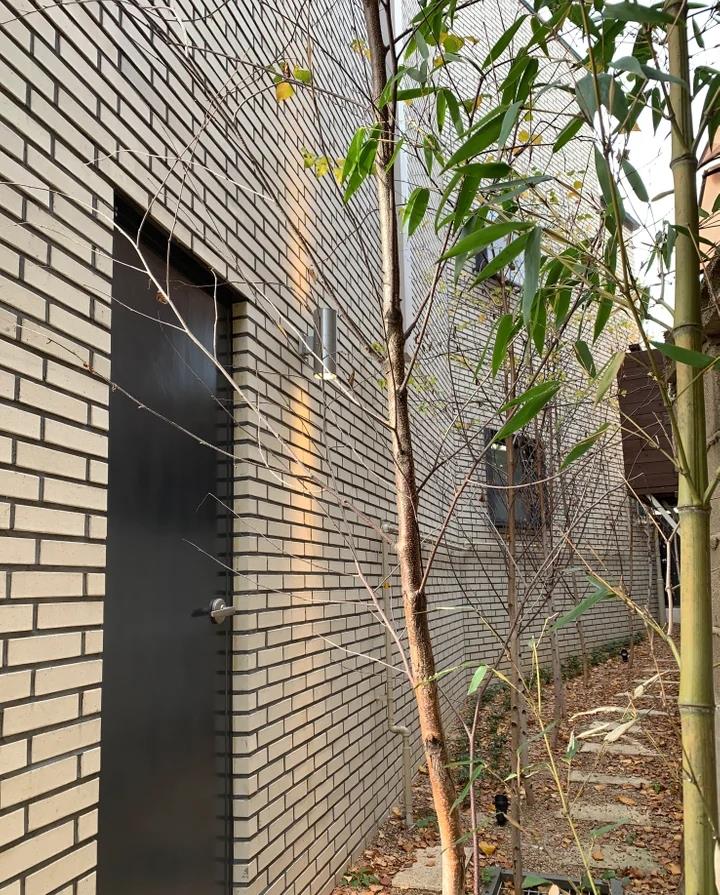 建筑师|建筑师执着于10年老洋房，110㎡三层没有客厅，星空露台！爽快极了
