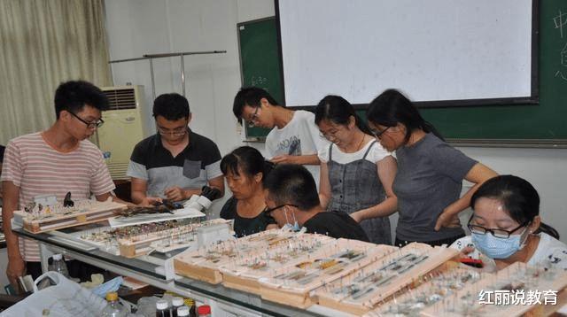 招聘|人均“985”的时代下，二本生丢人吗？实际上专科生才是常态