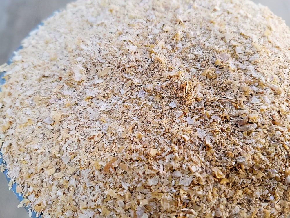 |价格实惠成本低,小鸡饲料拿来钓鱼,不妨试试这三个配方