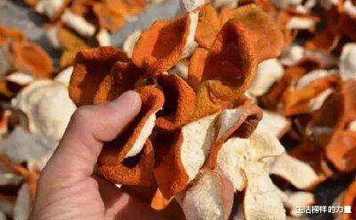 生活榜样的力量 收藏陈皮有讲究，不是所有的柑皮都叫“陈皮，怎样辨别？